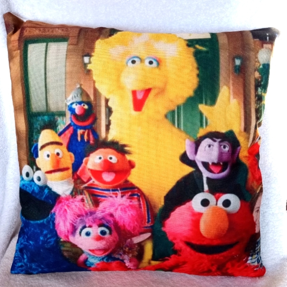 Sesame Street pillow